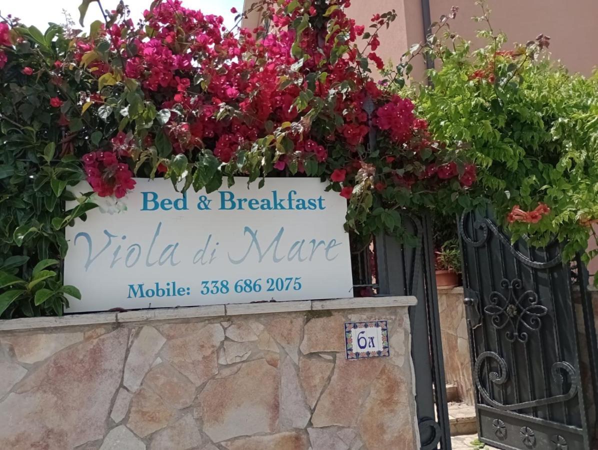 Viola Di Mare Rooms And Parking Termoli Zewnętrze zdjęcie