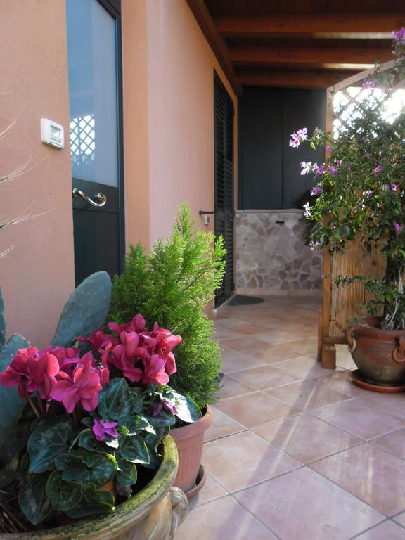 Viola Di Mare Rooms And Parking Termoli Zewnętrze zdjęcie